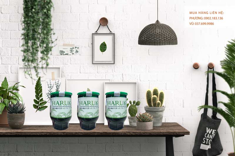 Rượu Vodka Cá Sấu ra mắt rượu mơ Haruka trong năm 2020 