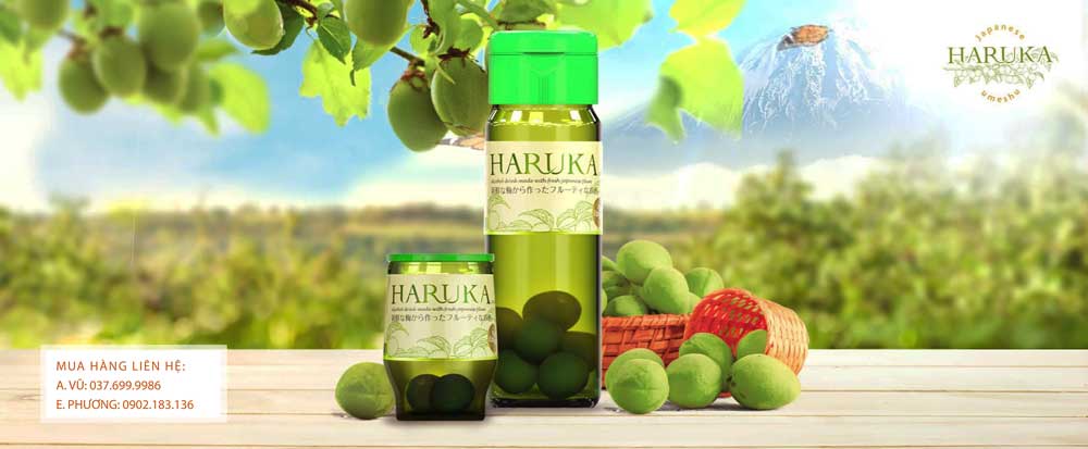 Các sản phẩm rượu Mơ Haruka 