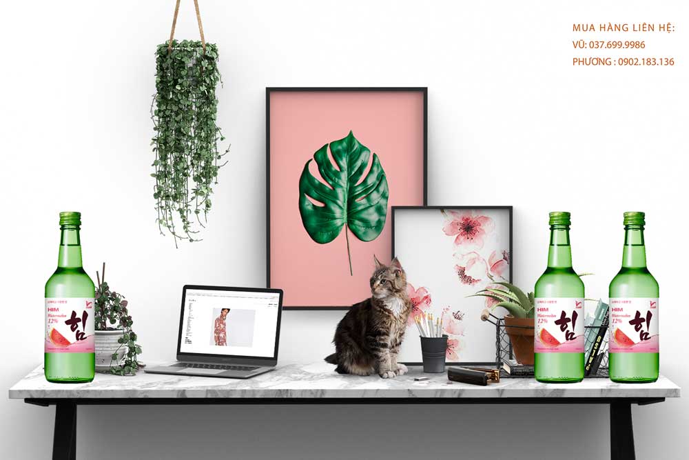 Rượu Soju HIM Watermelon - Soju hương vị dưa hấu  Hình ảnh rượu Soju HIM Watermelon - hương vị dưa hấu cho mùa hè